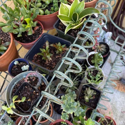 Sale Photo Thumbnail #169