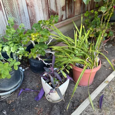 Sale Photo Thumbnail #155