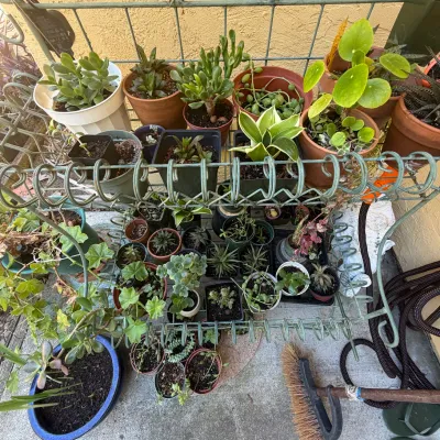 Sale Photo Thumbnail #144