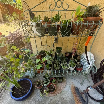 Sale Photo Thumbnail #143