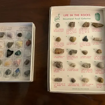 Educational rock and fossil collection