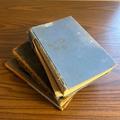 Ld vintage collection of three antique books with distinctive covers