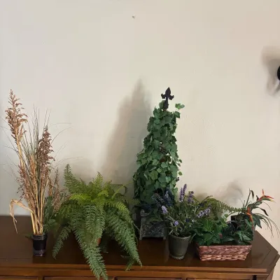 Ld set of 7 assorted artificial plants in various sizes