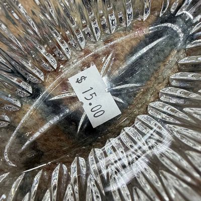 Princess House Highlights Crystal Relish Dish with Handle Riscam5-26-195