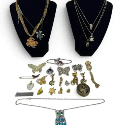 Pendants, Pins, Brooches, & Necklaces