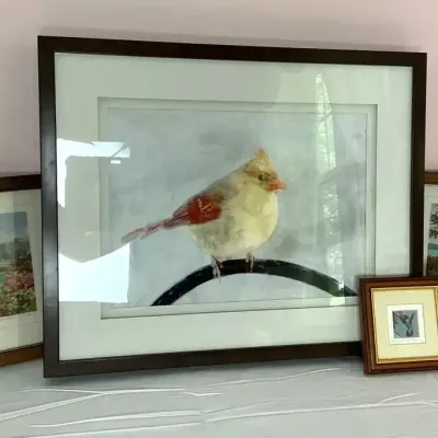 Lot of 5 Framed Bird & Bermuda-Themed Prints