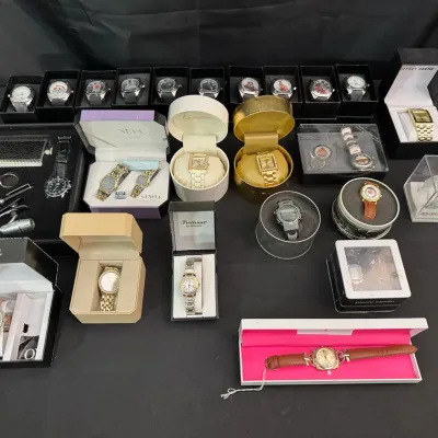 Watch Collection In Cases | Ice Link, Geoffrey Beene, Ellen Tracy, Geneva & More