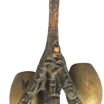 Antique Folk Art Preserved Wild Turkey Foot with Brass Decorative Elements