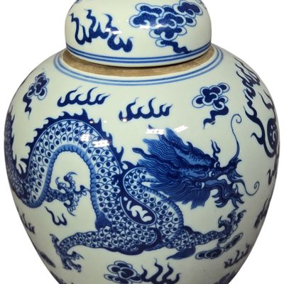 Chinese Blue and White Porcelain Dragon Ginger Jar with Yi Pin Tang Zhi Mark