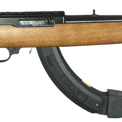 ** Ruger 10/22 Semi-Automatic Rifle .22 LR with 18.5 Inch Barrel