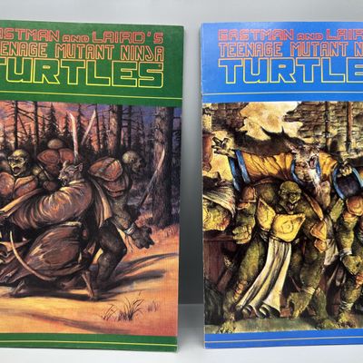 Mirage Studios Teenage Mutant Ninja Turtles including #31 (1990) and #35 (1991) - Michael Zulli Soul's Winter story arc