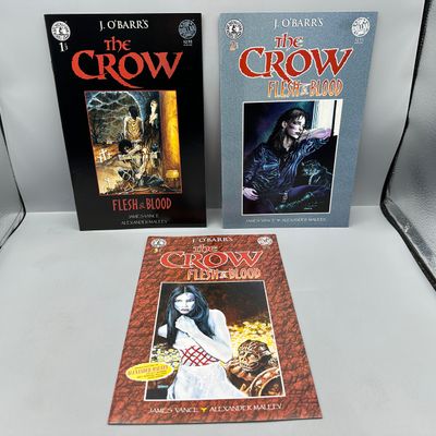 Kitchen Sink Press The Crow: Flesh & Blood #1-3 (1996) - Complete Limited Series - Alexander Maleev art