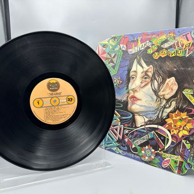 1973 Bearsville Records Todd Rundgren A Wizard, A True Star Vinyl Album - BR 2133