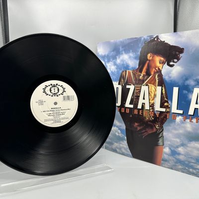 1992 Pulse 8 Records Ltd. Rozalla "Are You Ready To Fly" Single Vinyl Record - 12 LOSE 21