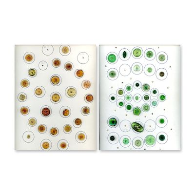 2 CARDS DIVISION THREE COLORED GLASS BUTTONS