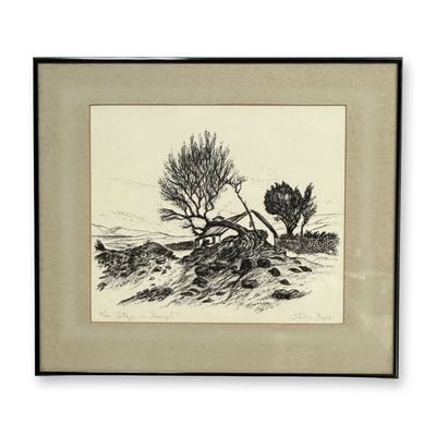 Steven Doyle, Cottage in Iveragh, Limited Edition Lithograph