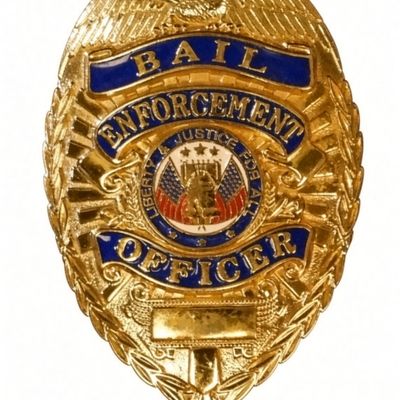 Sale Photo Thumbnail #257: Gold Tone Bail Enforcement Agent Officer Badge