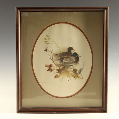 Sale Photo Thumbnail #239: Mads Stage, Mallard Ducks Framed Art Print