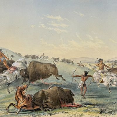 Sale Photo Thumbnail #74: Catlin, Folio, On Card - Buffalo Hunt, Chase