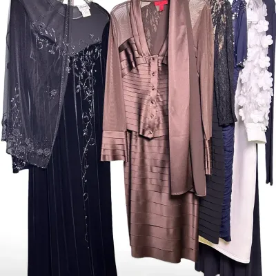 Lafayette 148, Stenay, Adrianna Papell & More Formal Dresses & More (10-12)