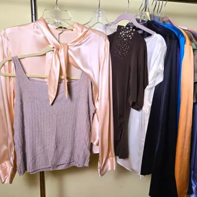 Tahari, Anne Klein, Ellen Tracy, Liz Claiborne & More Women’s Blouses (L-XL)