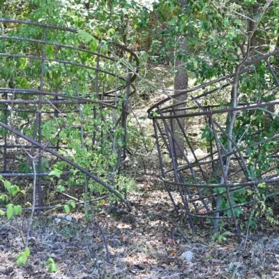 Sale Photo Thumbnail #84