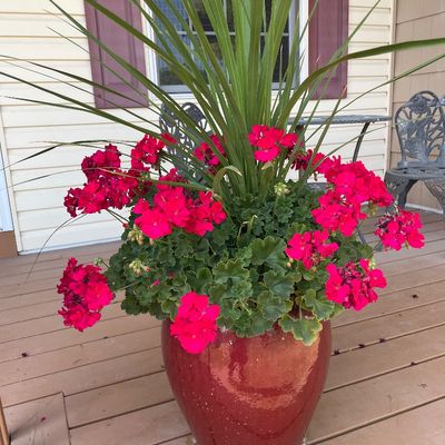 Sale Photo Thumbnail #332: 3 planters with flowering plants