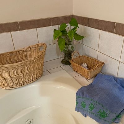 Sale Photo Thumbnail #248: Baskets, plant and towel