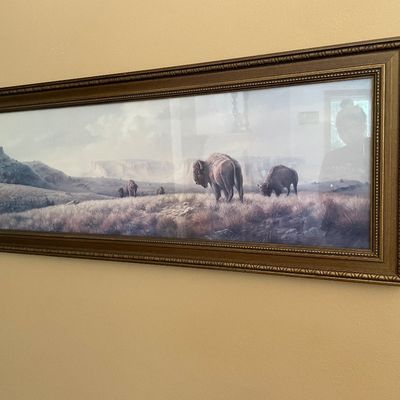 Sale Photo Thumbnail #207: Buffalo decor