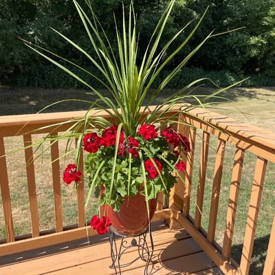 Sale Photo Thumbnail #165: Matching set