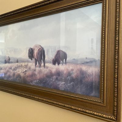 Sale Photo Thumbnail #208: Buffalo decor