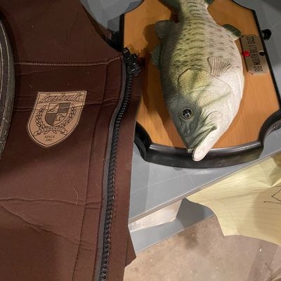 Sale Photo Thumbnail #448: Fishing decor