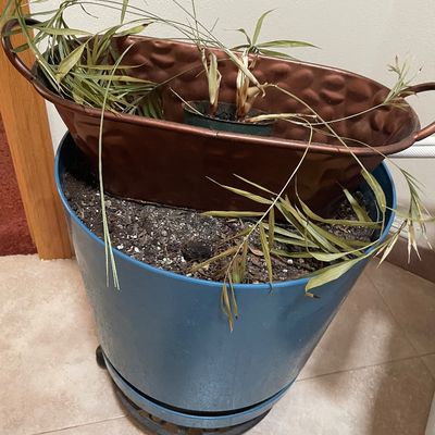 Sale Photo Thumbnail #234: Out and planter