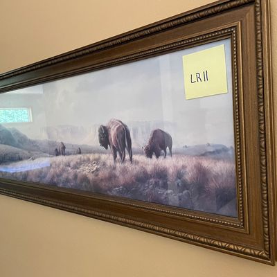 Sale Photo Thumbnail #209: Buffalo decor