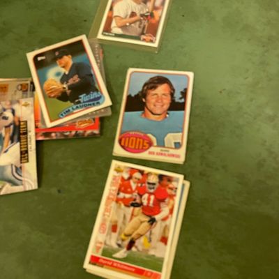 Sale Photo Thumbnail #413: Looks like it’s many different sports
Double layers