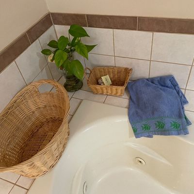 Sale Photo Thumbnail #250: Baskets, plant and towel