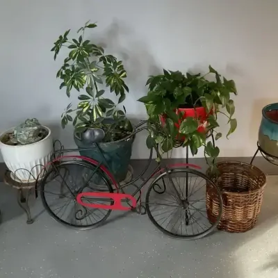 Garden Accents And Greenery