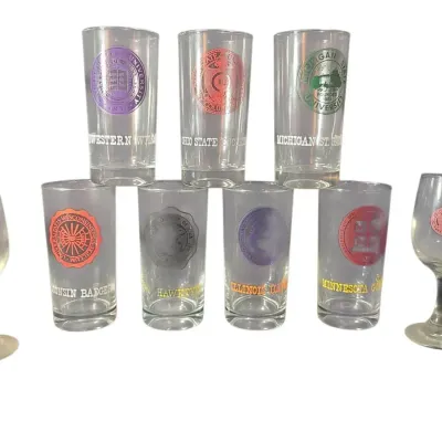 DG705 Set of (9) Big Ten Promotional Drinking Glasses 