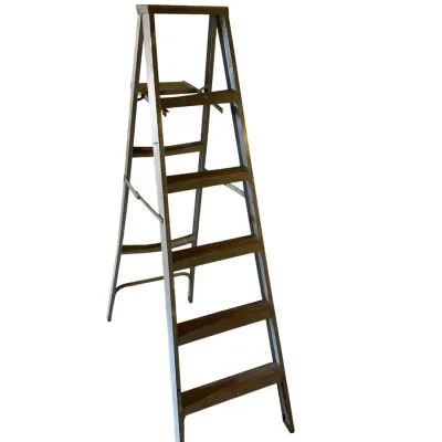 DG810 Keller 6 Foot Ladder
