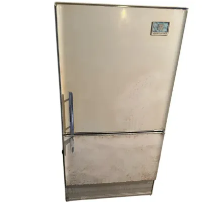 DG803 Frigidaire Refrigerator