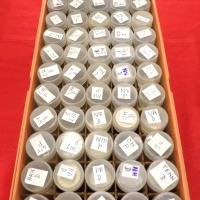 Sale Photo Thumbnail #124