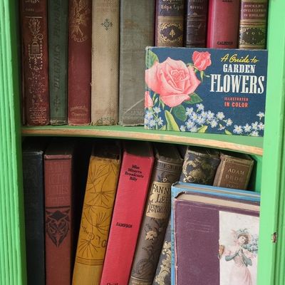 Collection of Vintage Botanical and Decorative Hardcover Books