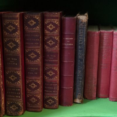Collection of Vintage Botanical and Decorative Hardcover Books