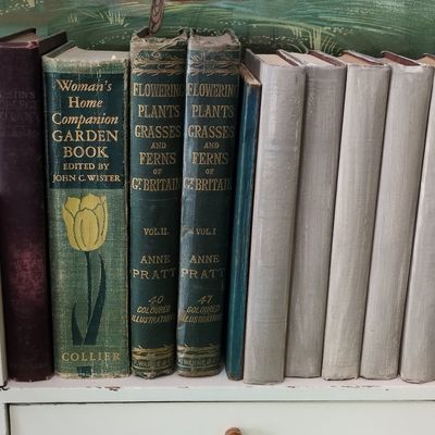 Collection of Vintage Botanical and Decorative Hardcover Books