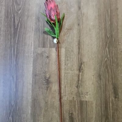 Sale Photo Thumbnail #846: Artificial King Protea Stem