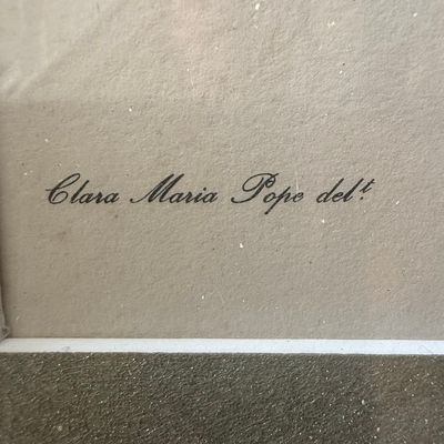 Sale Photo Thumbnail #481: Clara Maria Pope Botanical Print, Myrtle-leaved Camellia (1819)
