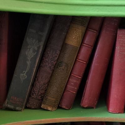 Collection of Vintage Botanical and Decorative Hardcover Books