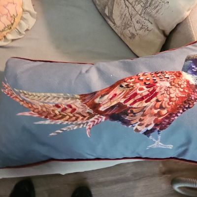 Sale Photo Thumbnail #135: Pheasant Velvet Cushion Cover