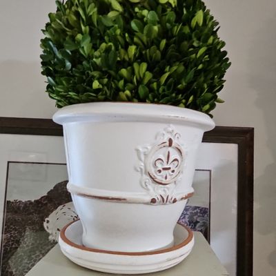 Sale Photo Thumbnail #820: Fleur-de-Lis Ceramic Planter with Preserved Boxwood Topiary