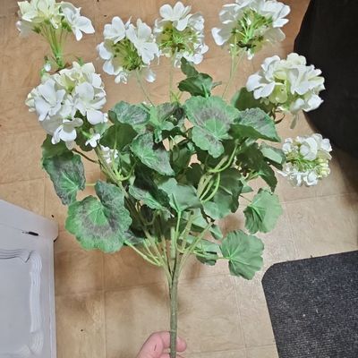 Sale Photo Thumbnail #841: Artificial White Geranium Bush with Zonal Leaves